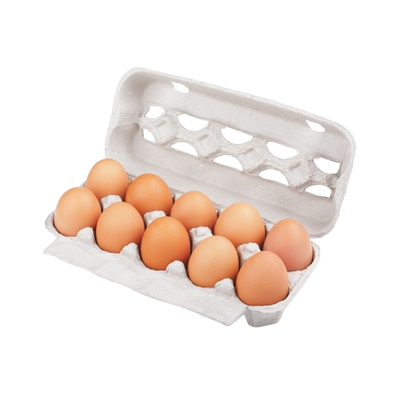 Egg M KVP. 10pcs white