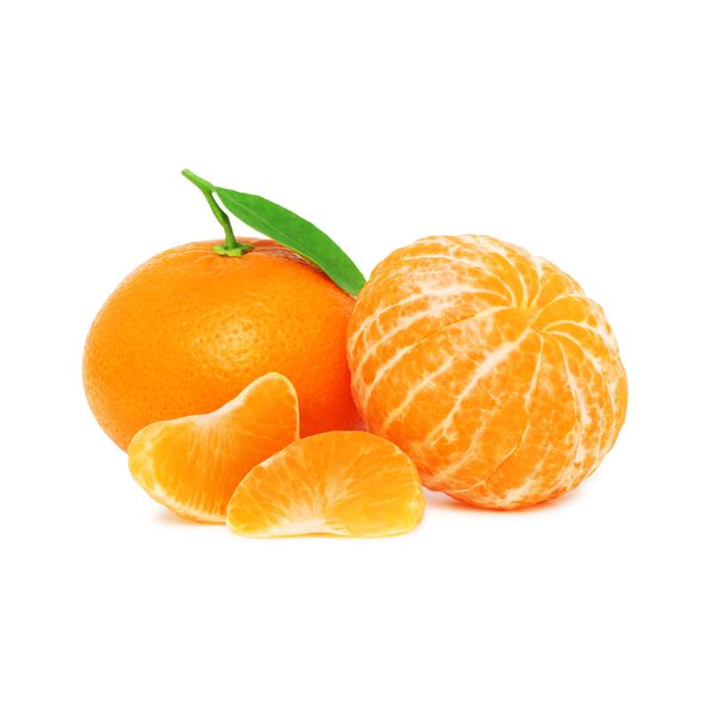 ORRI Clementine | Spanien | KlasseⅠ