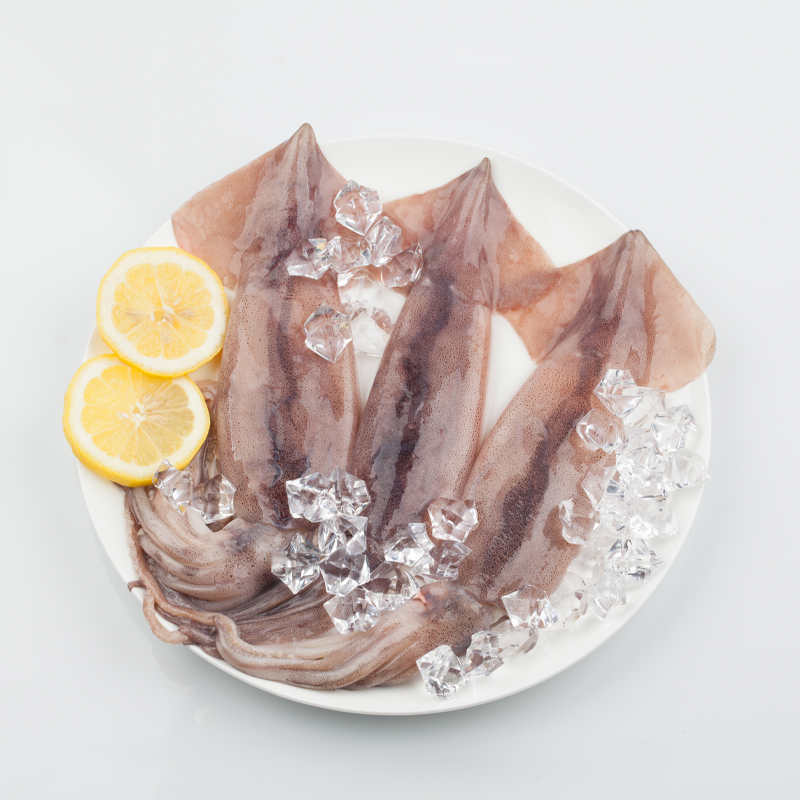 Tintenfisch - Gefroren 2104001000002