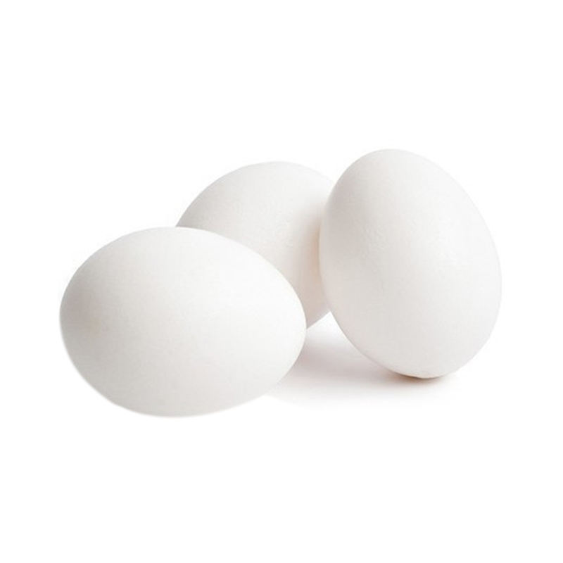 Egg M KVP. 10pcs white