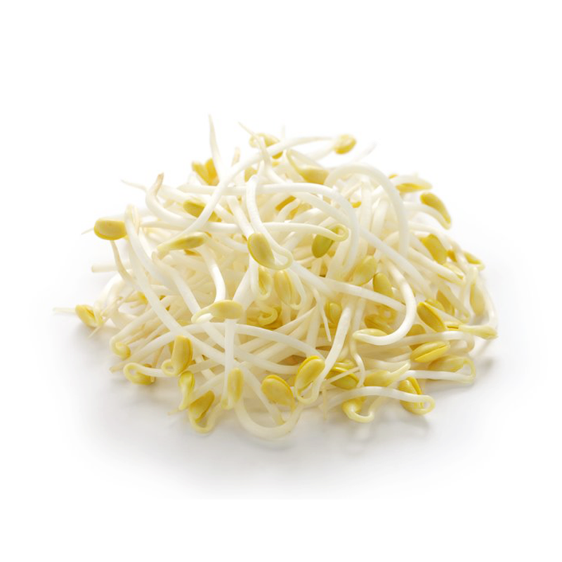 Bean Sprout | Germany | Class I
