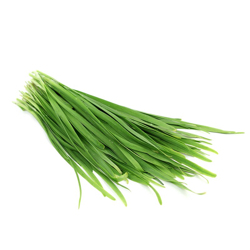 Garlic Chives| Germany | Class I buchu schnittlauch